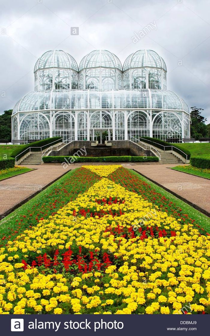 Lugar Jardim Botânico