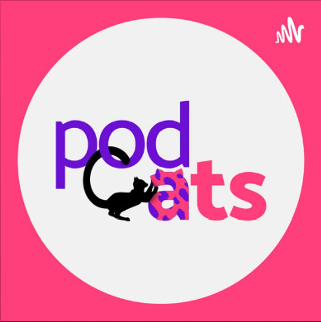 Moda POD CATS (Camila Loures e Virginia Fonseca)