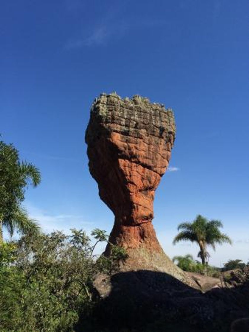 Lugar Parque Estadual de Vila Velha