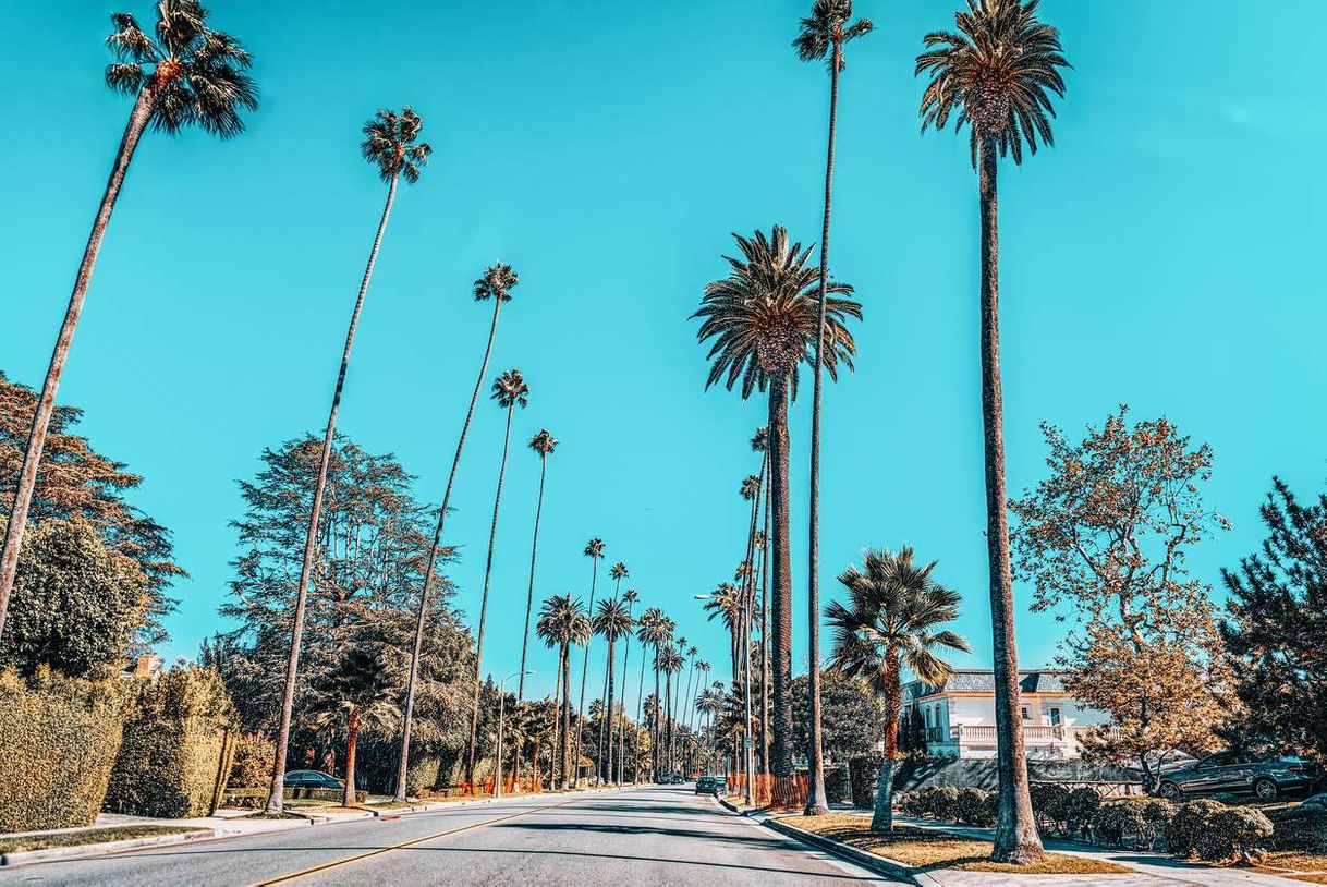 Place California