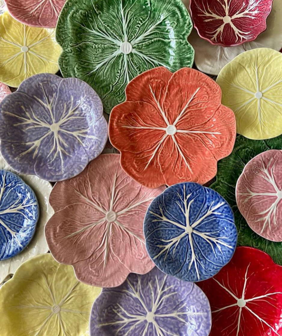 Social Bordello pinehiro