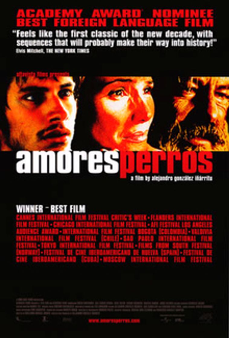 Movie Amores perros