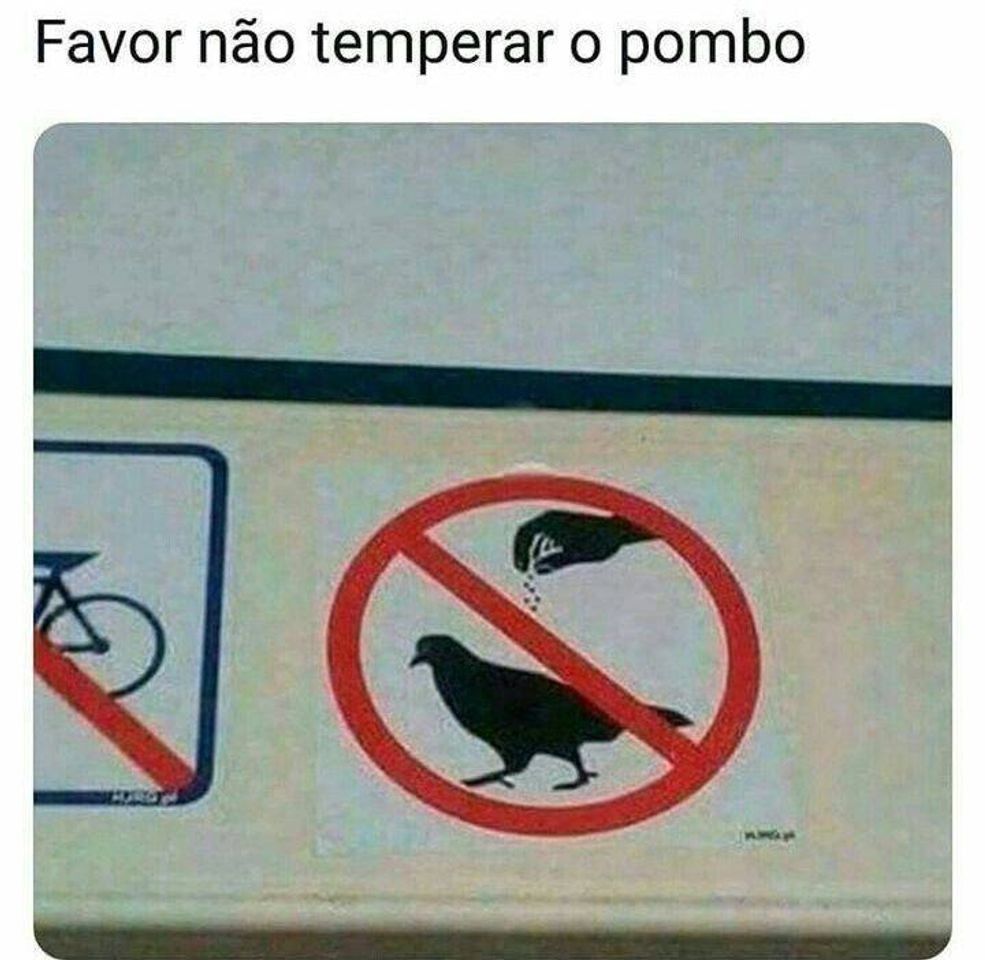 Moda não🚫tempere😠🤜o pombo🦅💔🚫