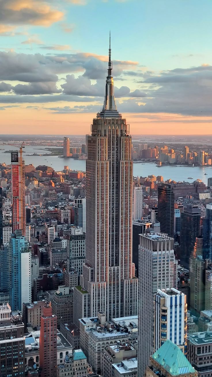 Social New York 