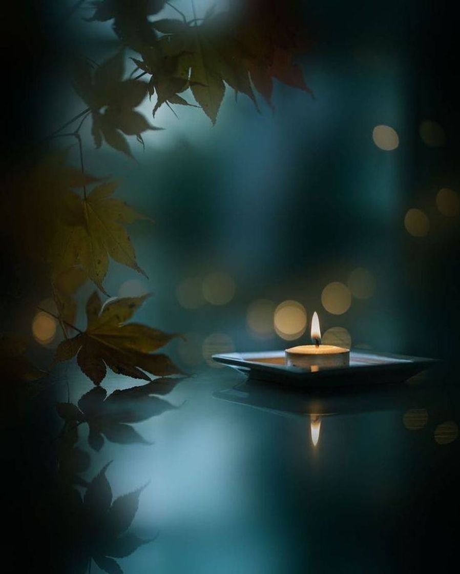 Social 🕯️