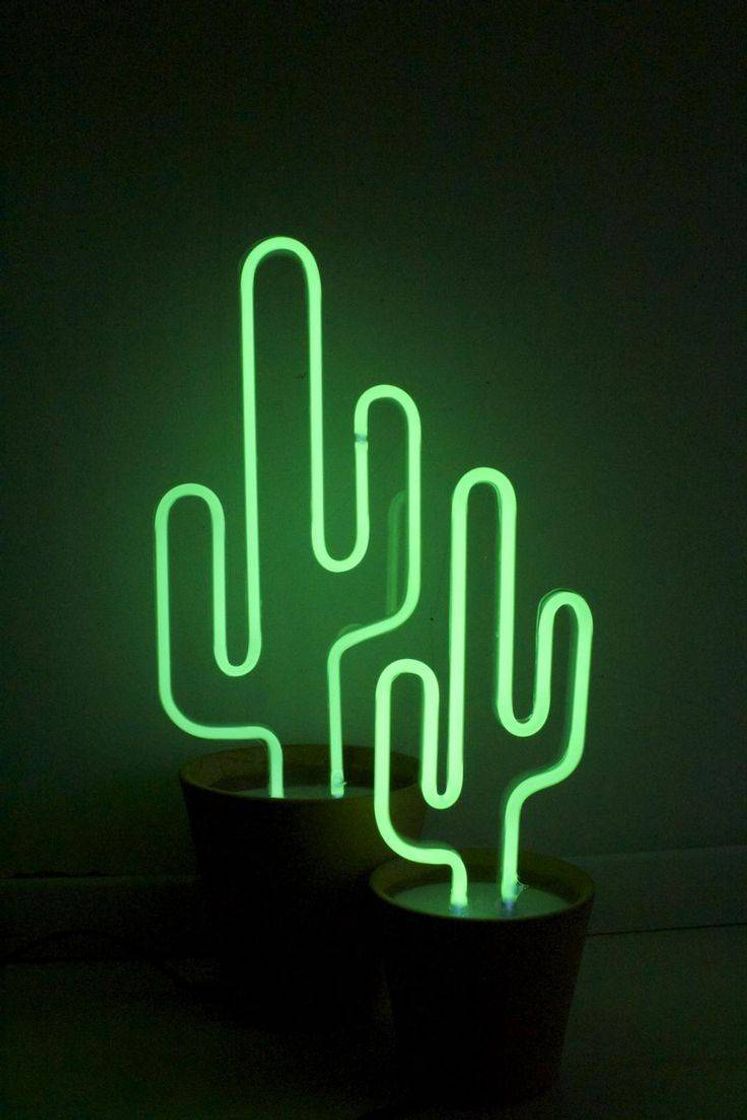 Fashion Luminária cacto 🌵