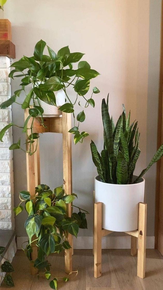 Moda Para uma decoração top 🥰🌿