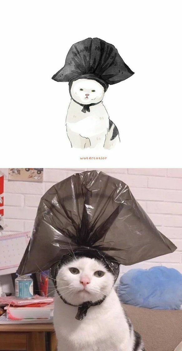 Fashion bin bag cat 