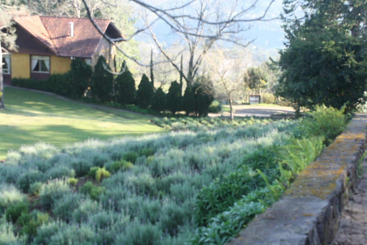 Lugar Le Jardin Parque de Lavanda