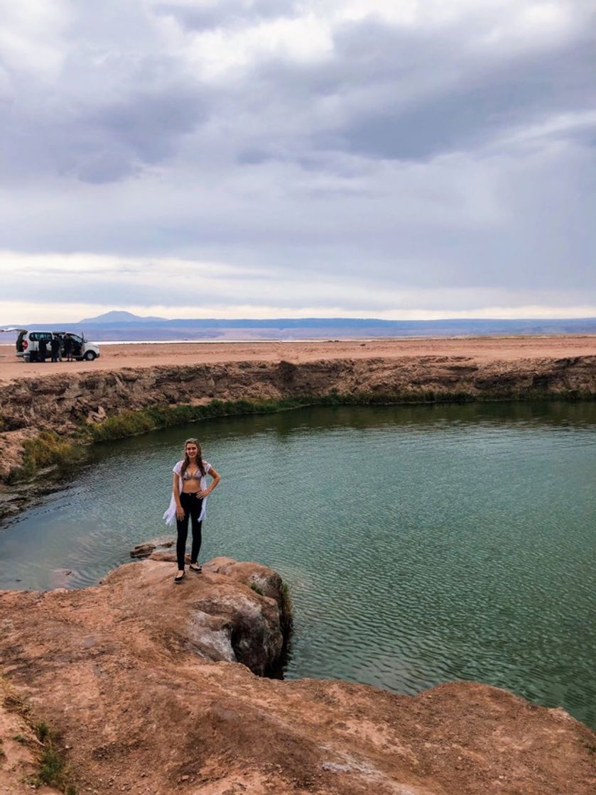 Place Ojos del Salar