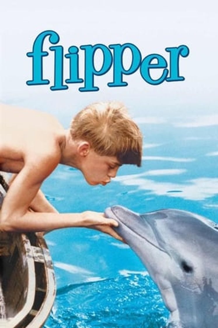 Película Mi amigo Flipper