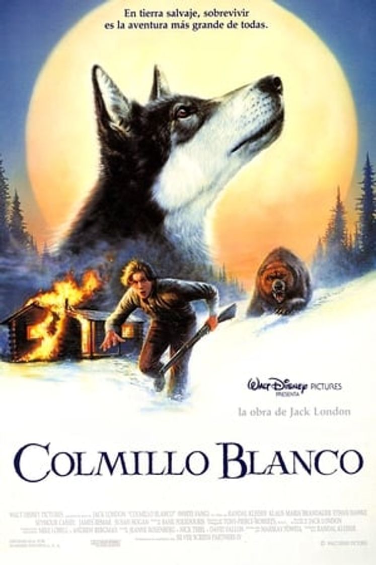 Película Colmillo blanco