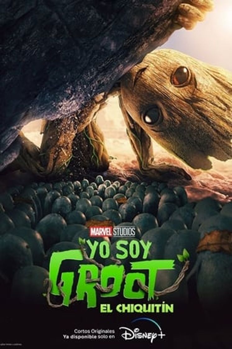 Película El chiquitín