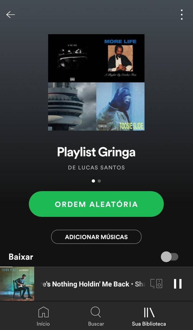 Fashion Playlist Gringa 