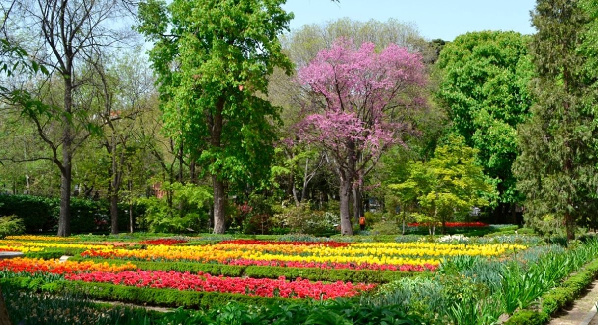 Lugar Real Jardín Botánico