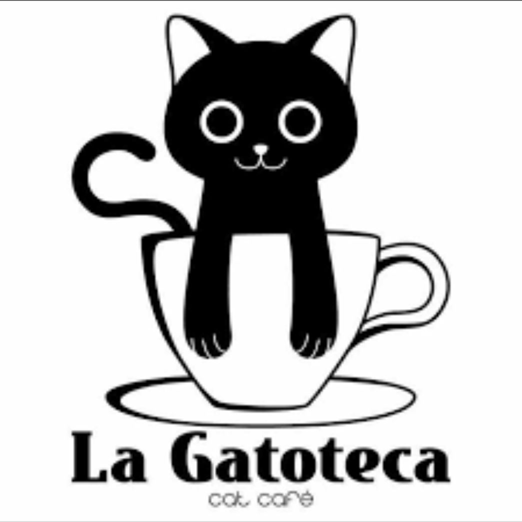 Place La Gatoteca