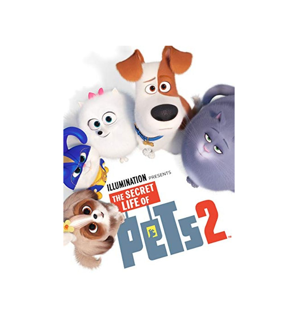 Product Secret Life of Pets 2, the