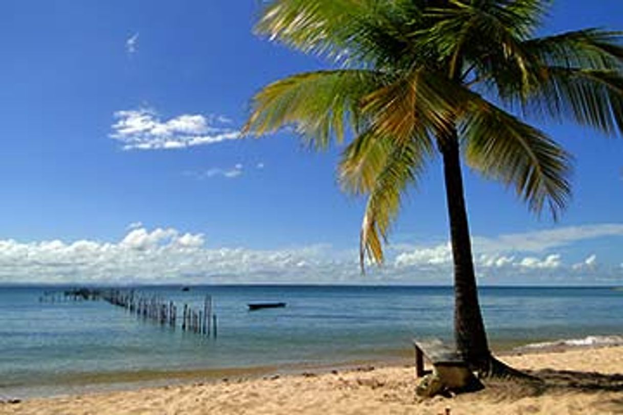 Places Barra Grande Bahia