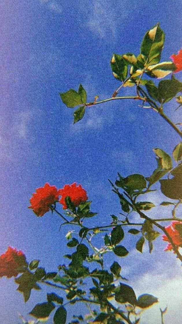 💘