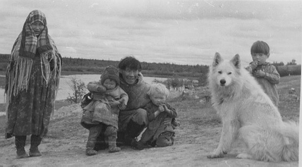 Fashion Historia Samoyedo 