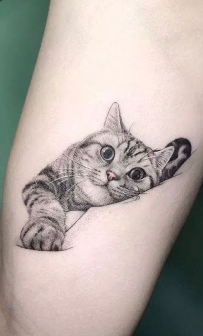 Fashion Tatuagem de gatinho