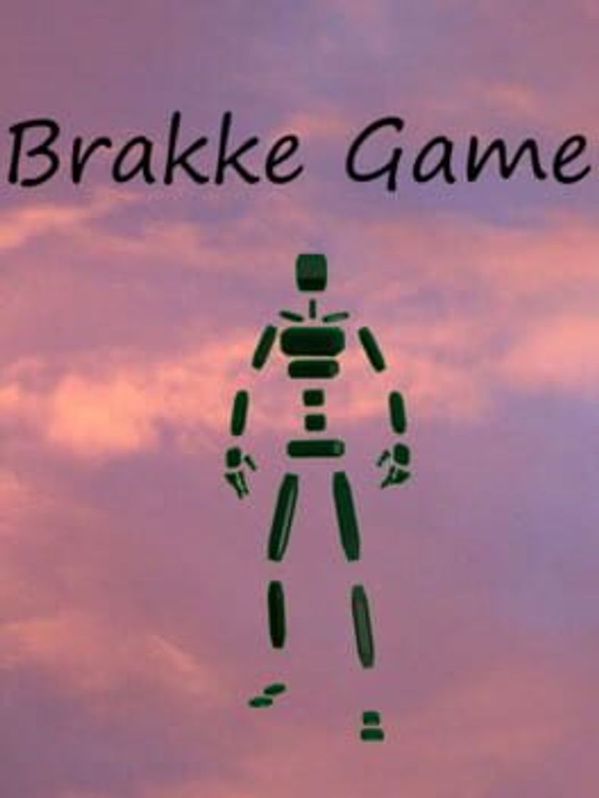 Videojuegos Brakke Game