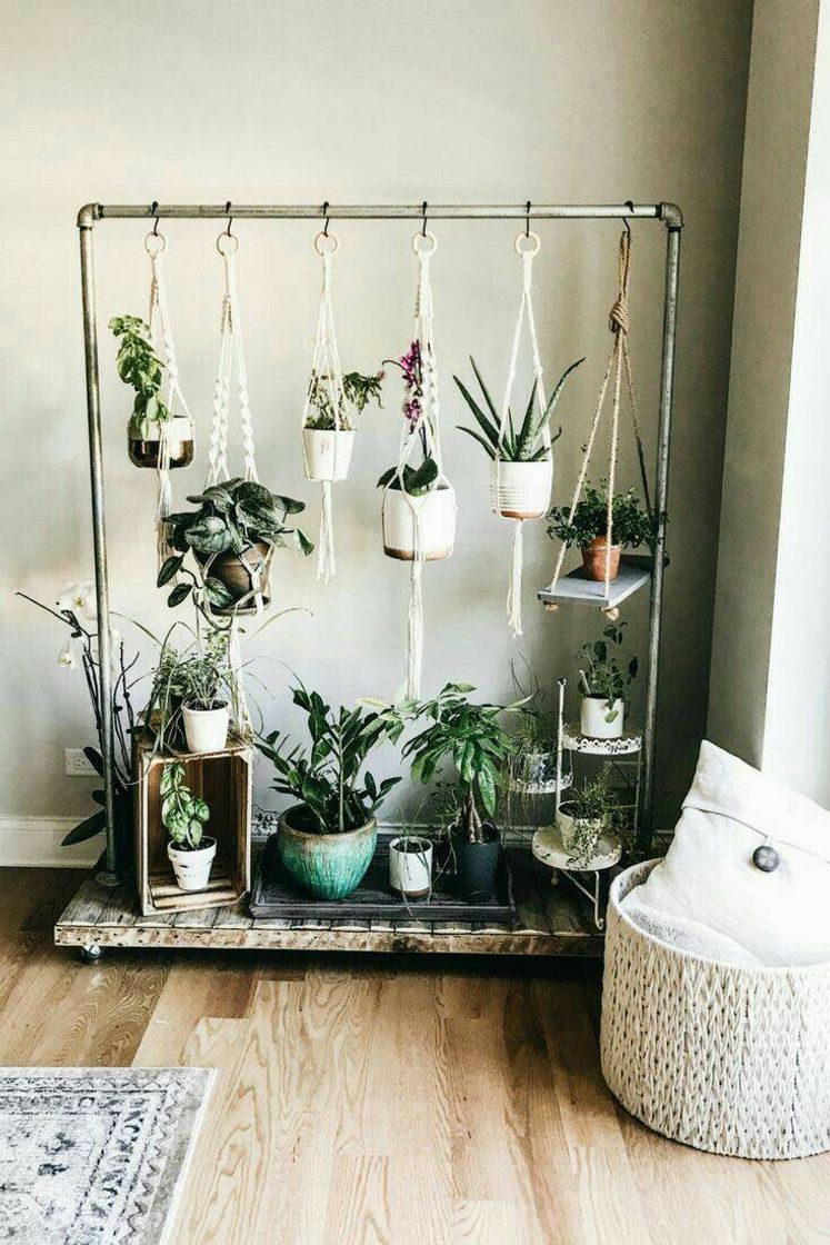 Fashion Decoração com plantas 