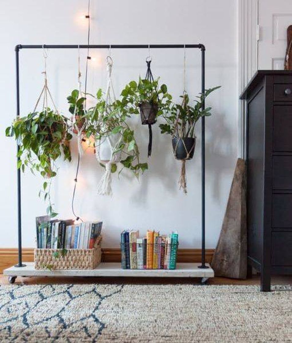 Moda Decoração com plantas 