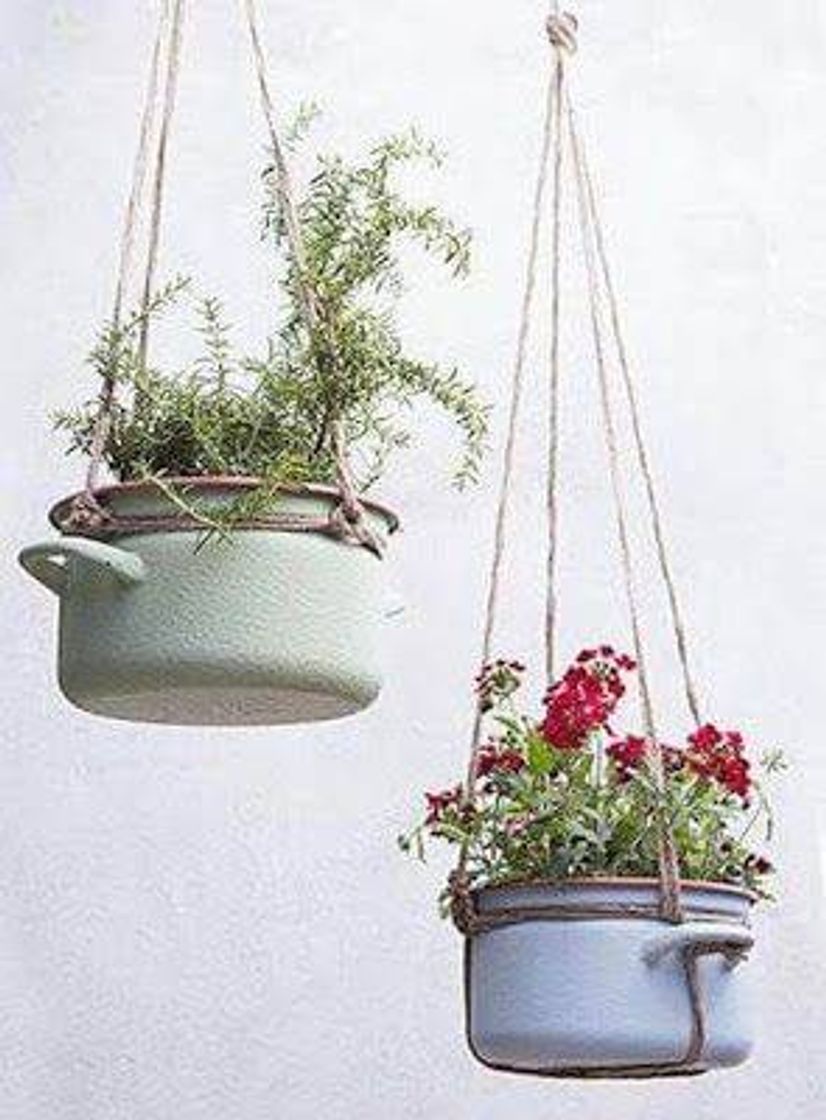 Moda Decoração com plantas 