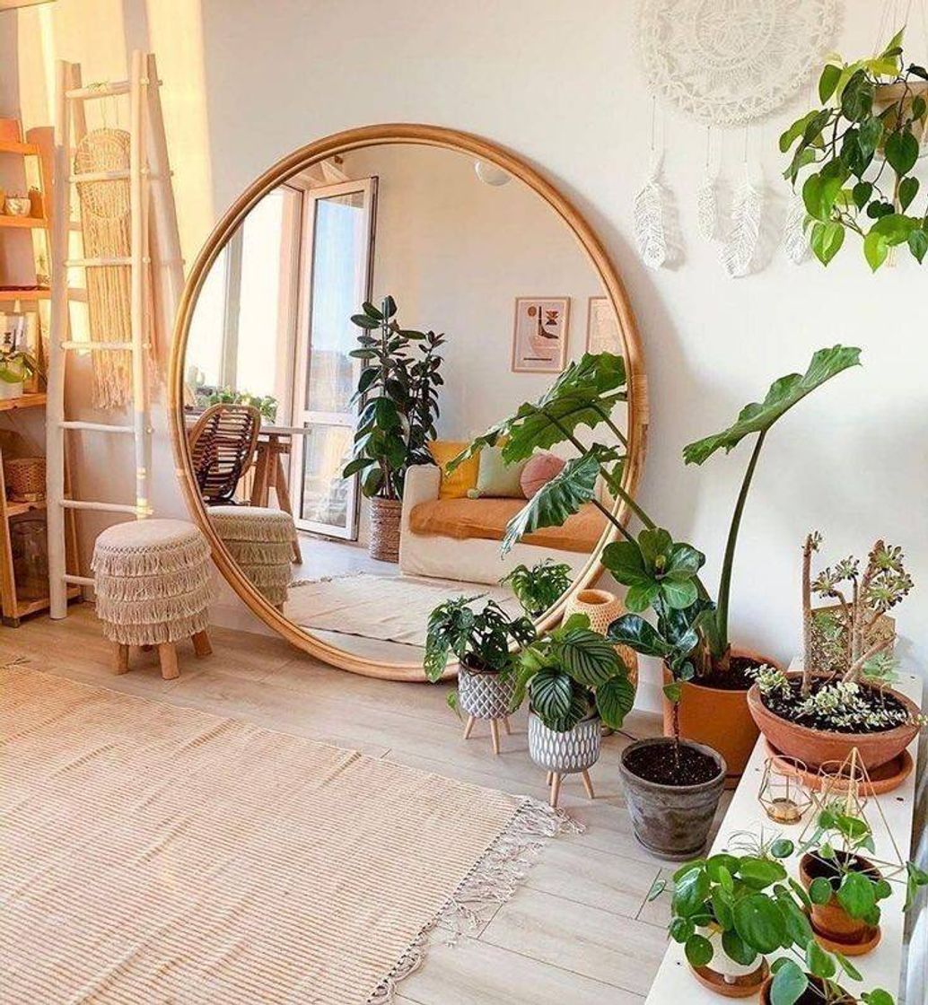 Moda Decoração com plantas 