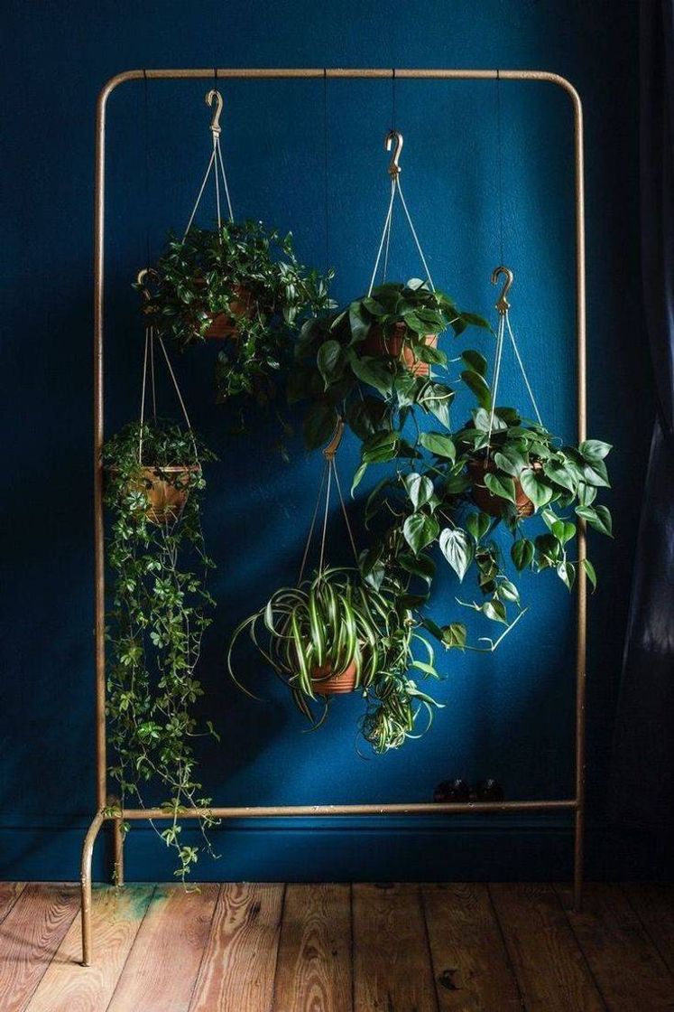 Fashion Decoração com plantas 