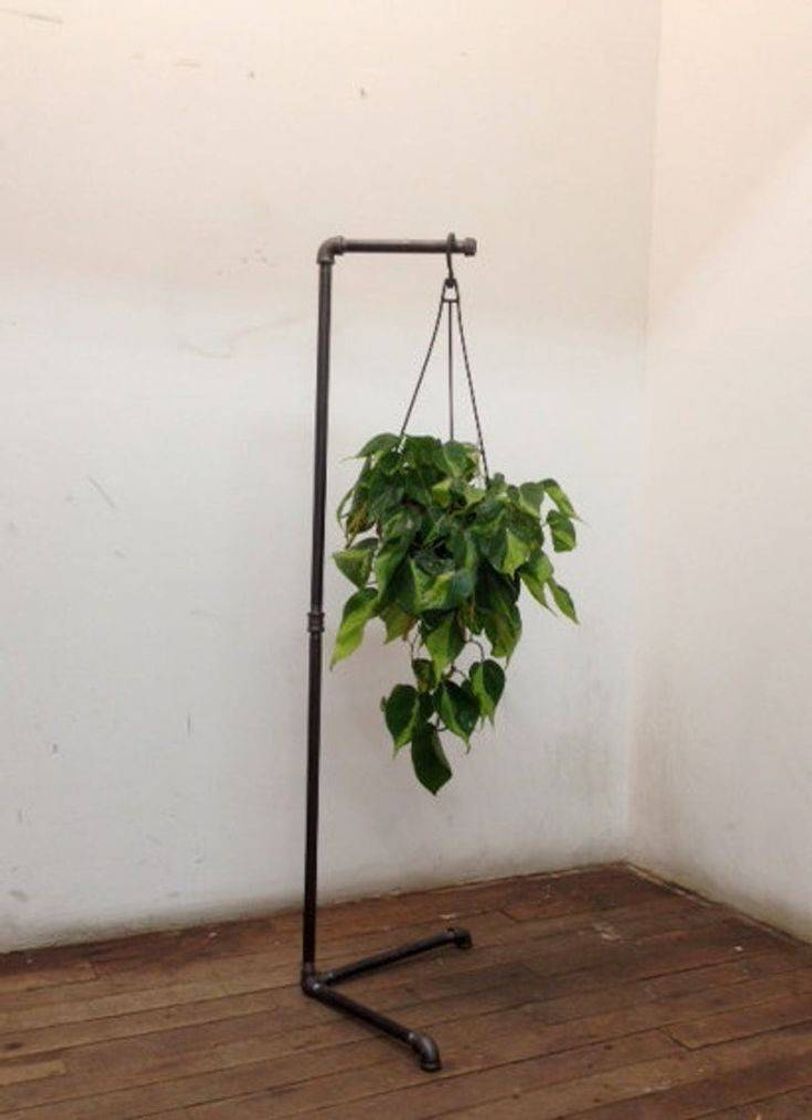 Social Plant stand🌱💚