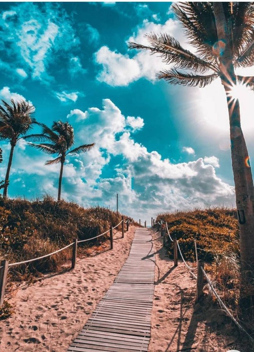 Social Lugar lindo