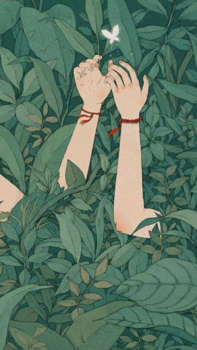 𝙿𝚕𝚊𝚗𝚘 𝚍𝚎 𝙵𝚞𝚗𝚍𝚘 🌿