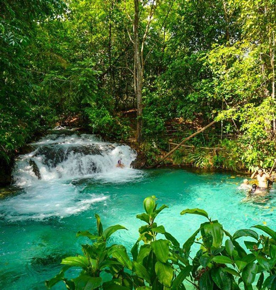 Places Cachoeira do formiga 