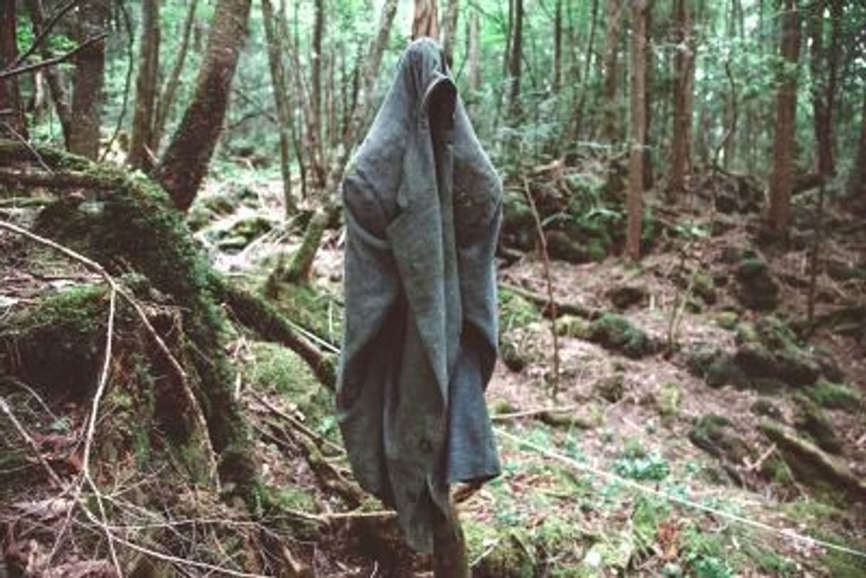 Lugar Aokigahara