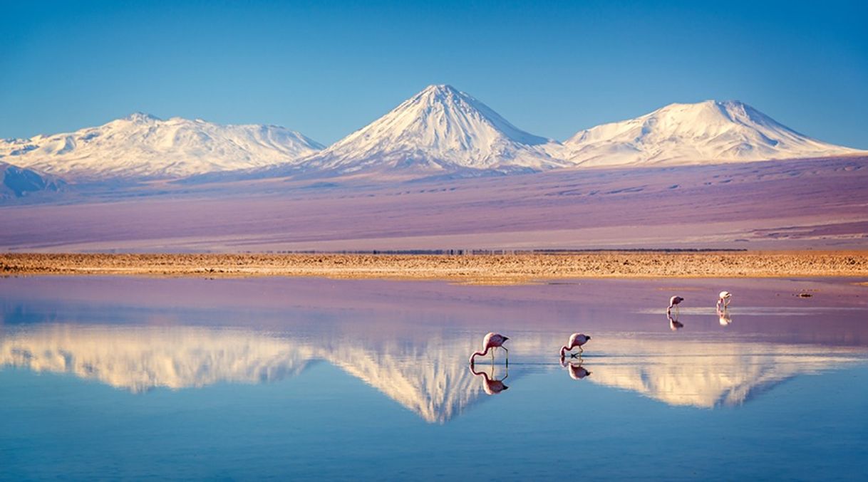 Lugar Desierto de Atacama