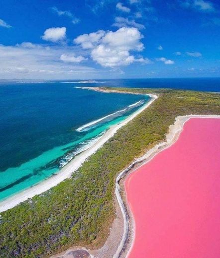 Pink lake - Austrália 