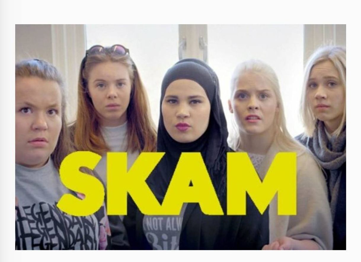 Serie SKAM NL