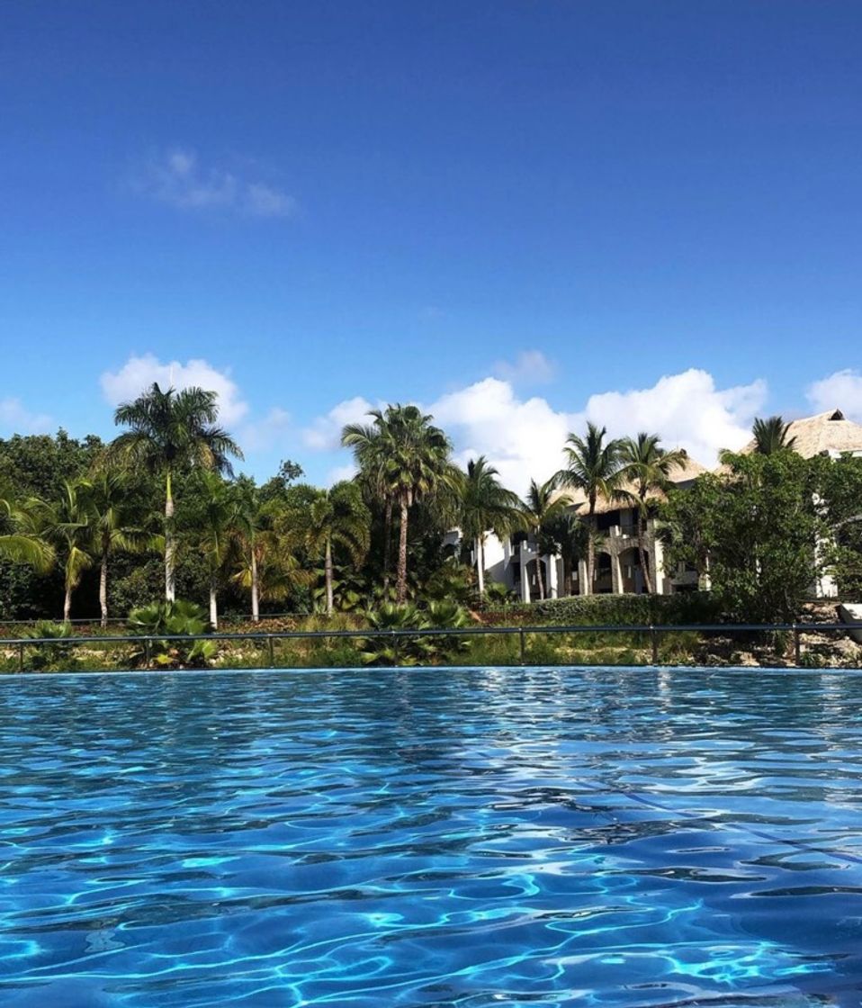 Restaurants Hard rock punta cana