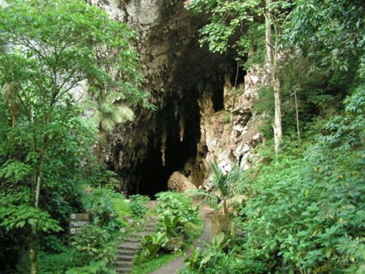 Parque Nacional El Guácharo