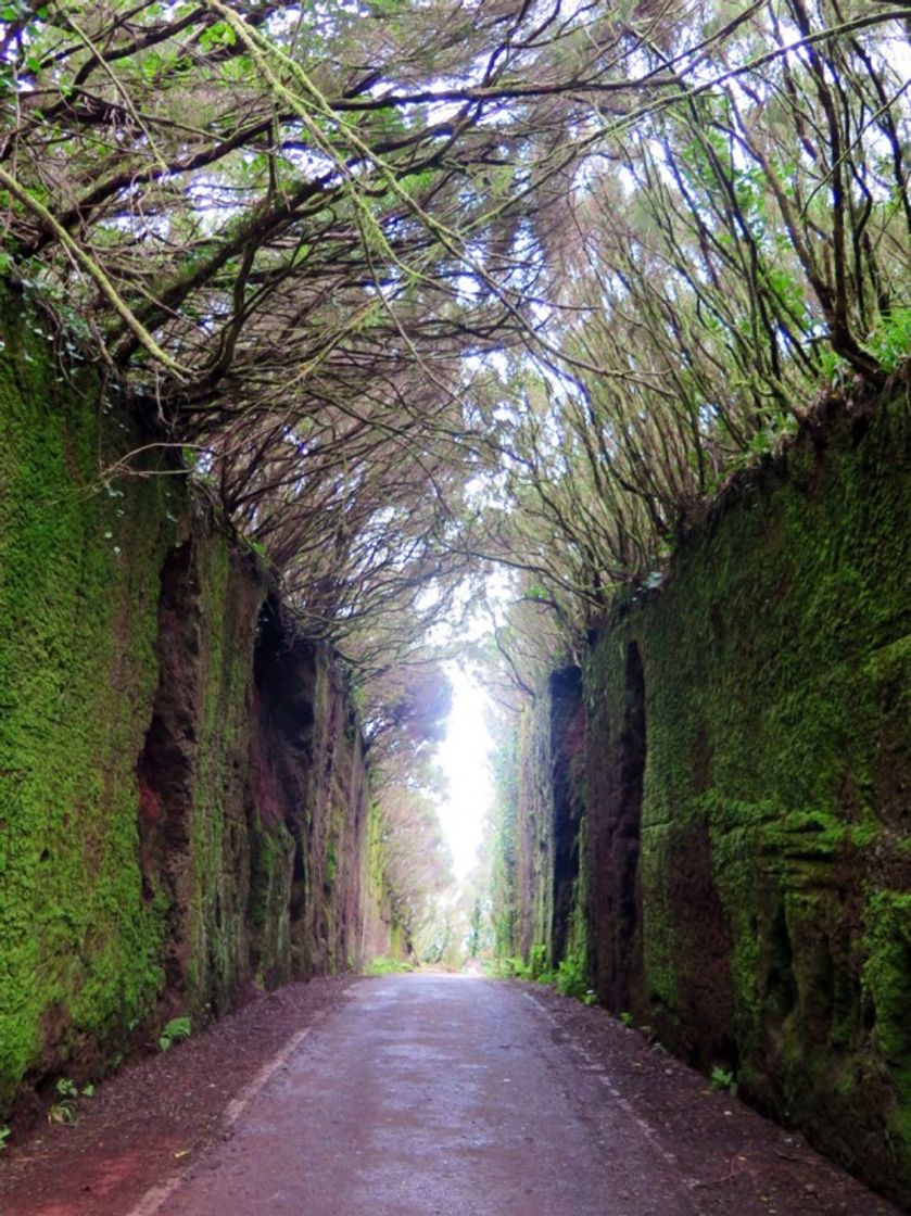 Lugares Pico del Inglés