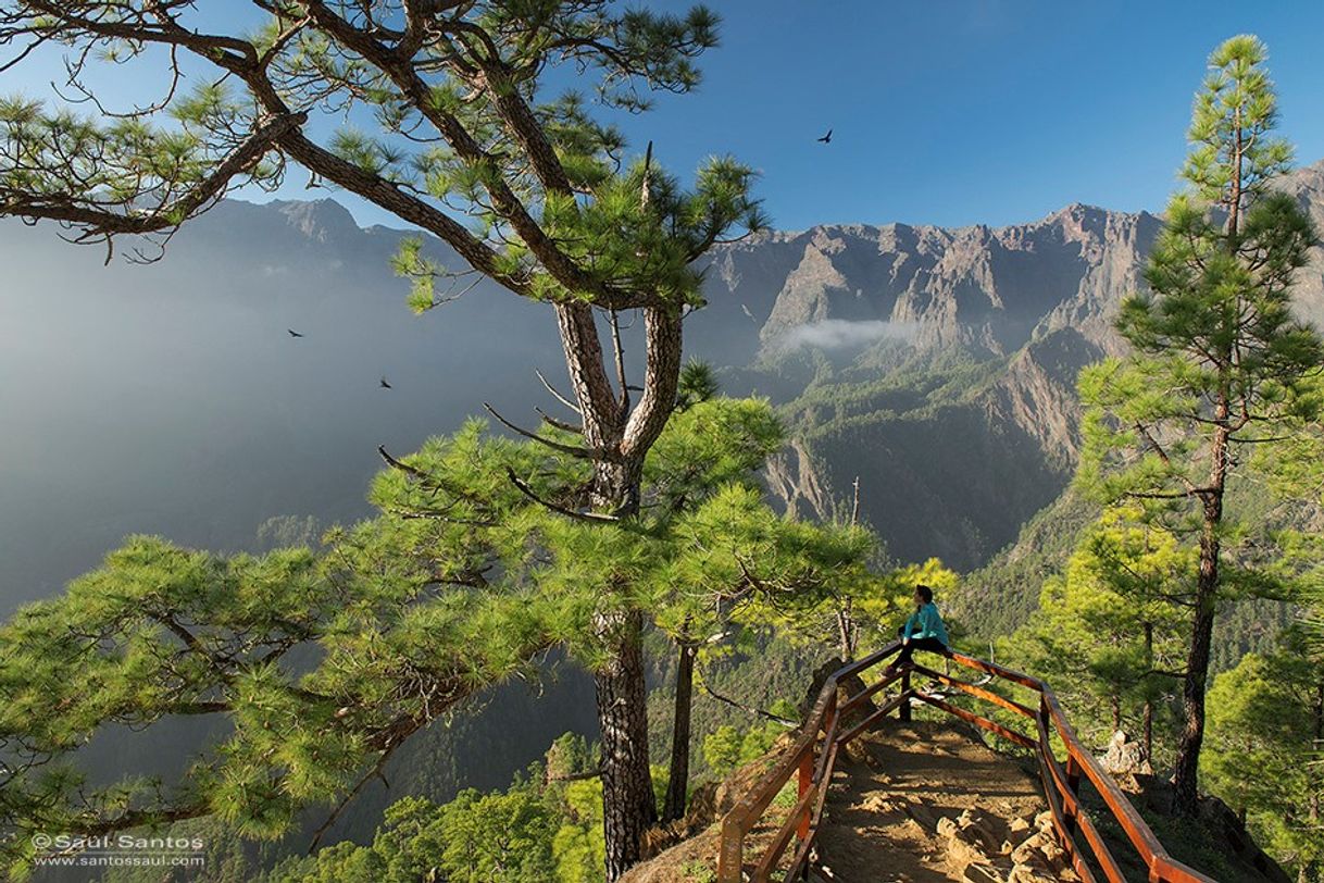 Places Parque Nacional de la Caldera de Taburiente