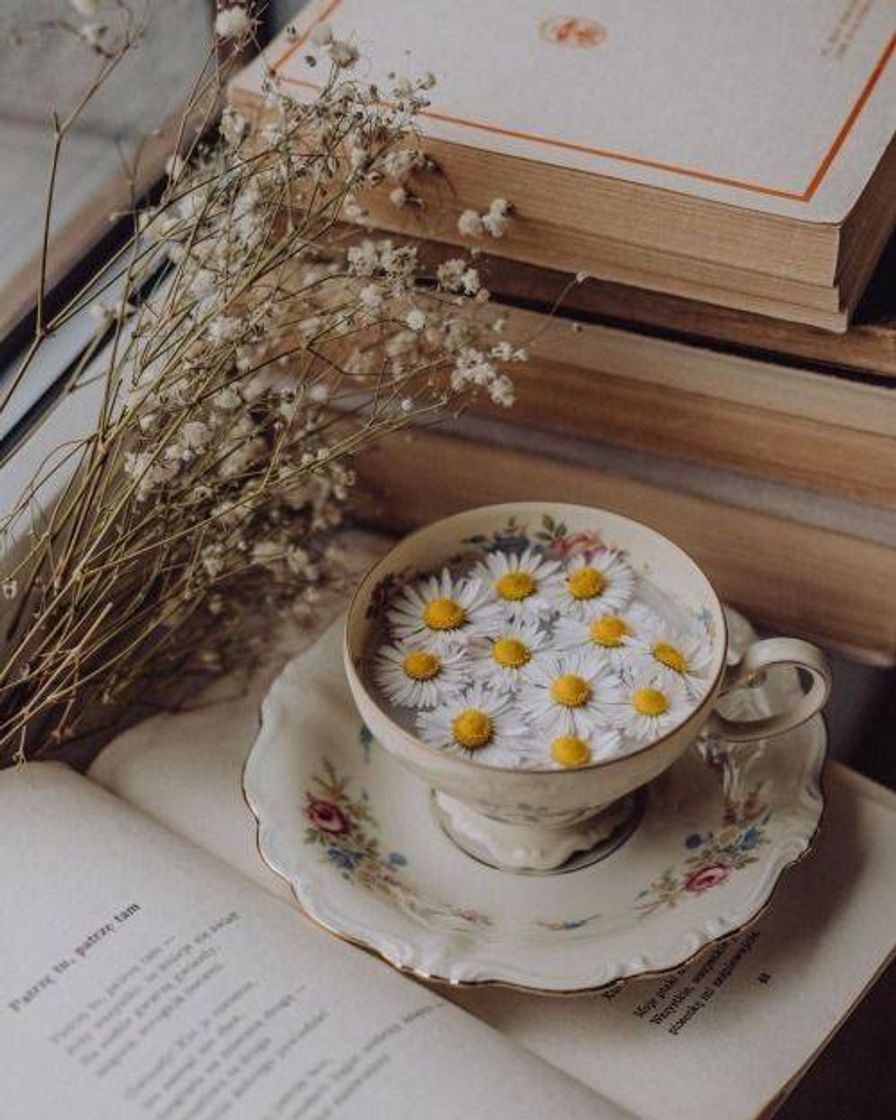 Fashion Tea and book