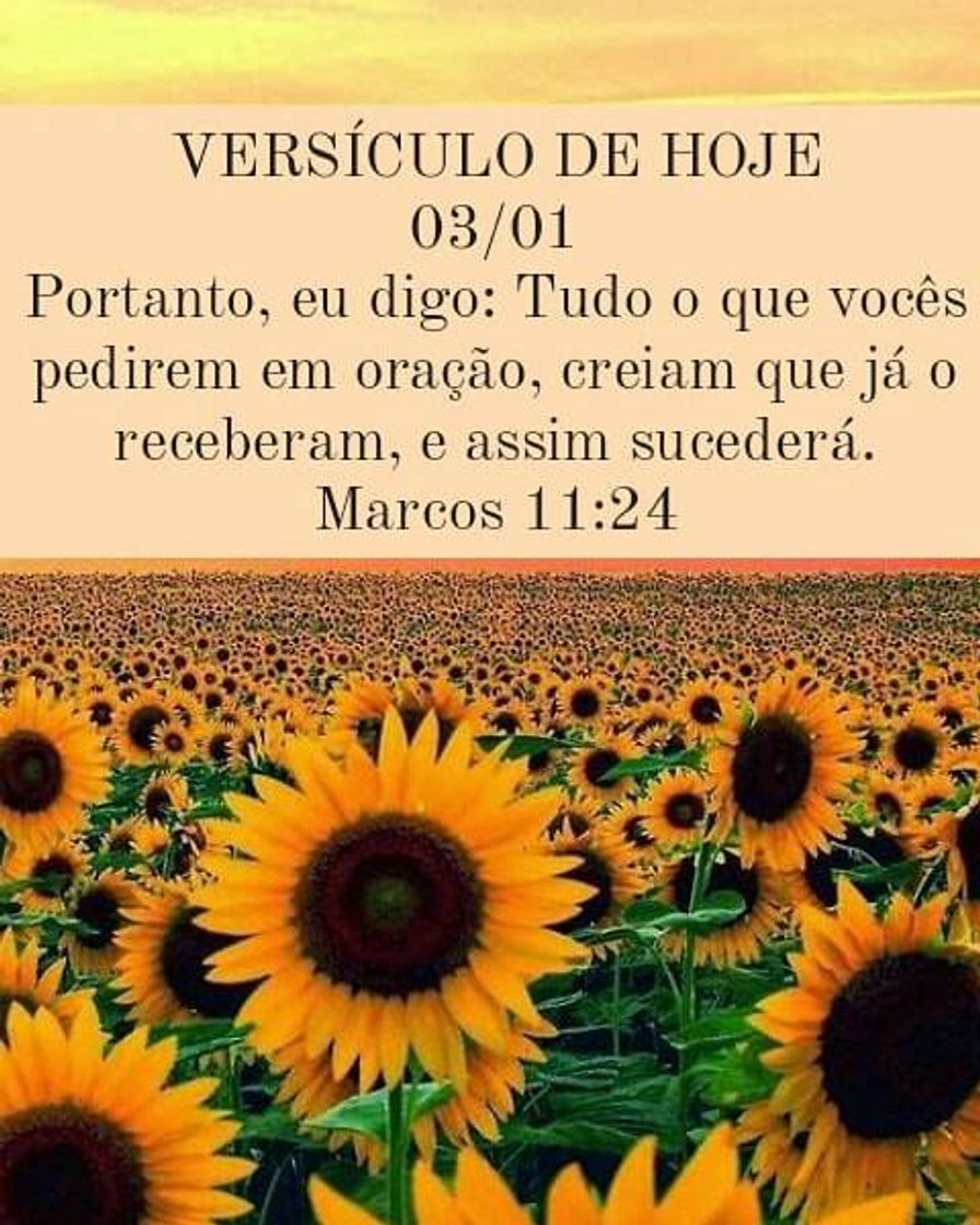 Social Versículo do dia 
