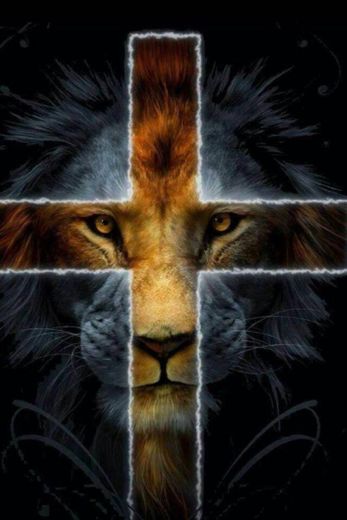 Lion of juda