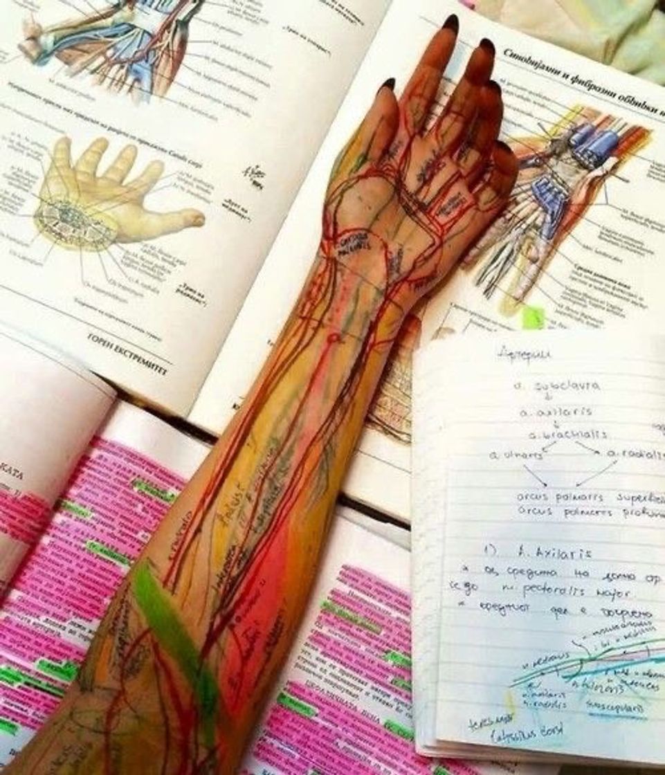 Fashion Anatomia 