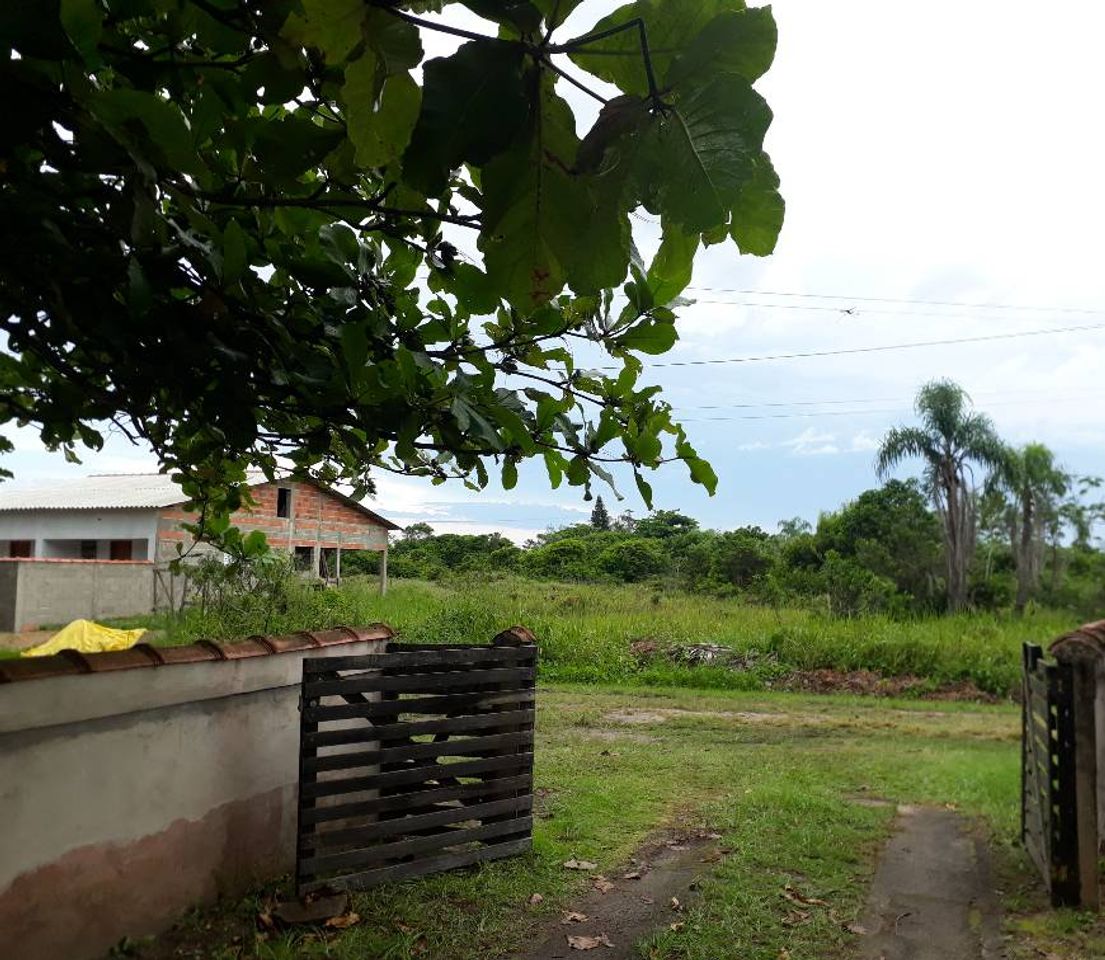 Social Paisagem 