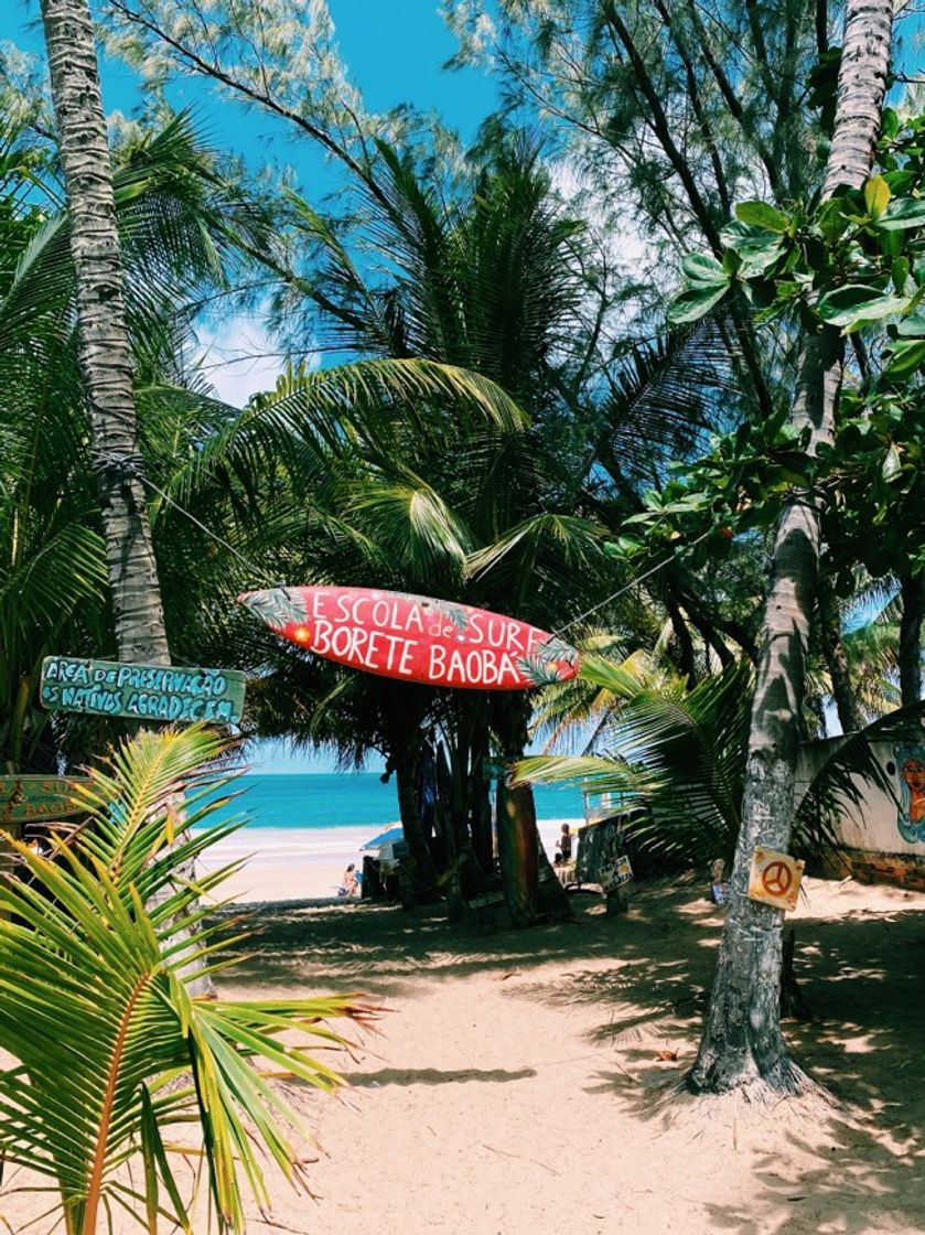 Lugar Porto de Galinhas