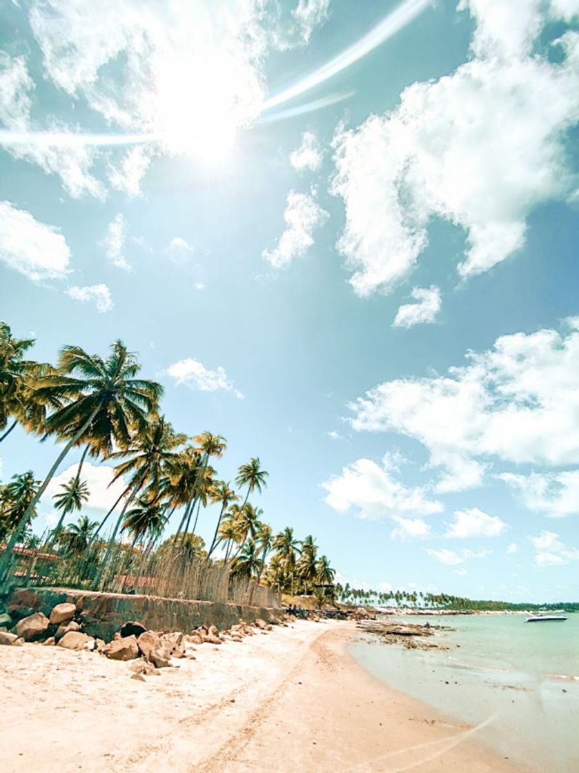 Lugar Praia dos Carneiros